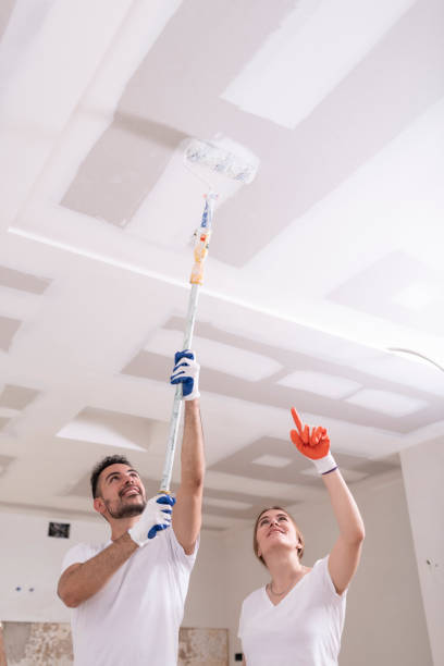 Best Ceiling Drywall Installation  in Calumet Park, IL